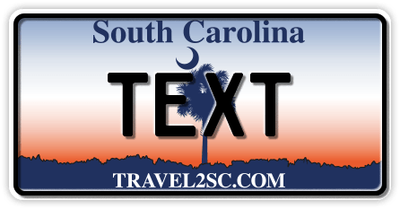 US-South Carolina Palm, 300x150 mm US-South Carolina Palm, 300x150 mm