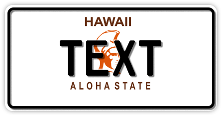 US-Hawaii Aloha State, 300x150 mm US-Hawaii Aloha State, 300x150 mm